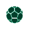 国际美洲队标